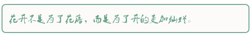 深圳蒲神认证体验报告：专业点评及改进建议